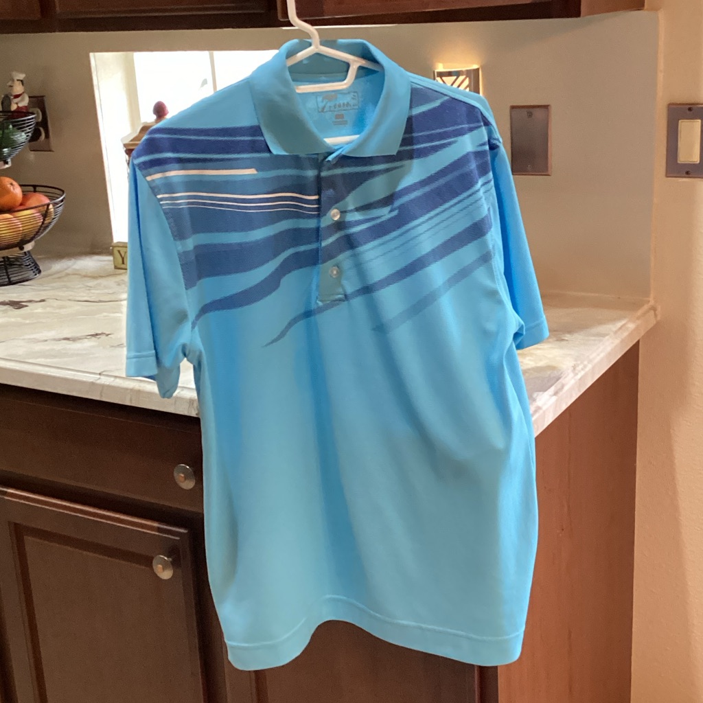 Van Heusen Blue Striped Men's Polo Shirt